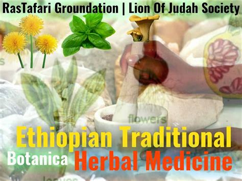  Understanding Traditional Medicine: A Guide to Ethiopian Herbal Practices! – A Journey into Ancient Wisdom